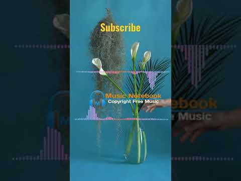 Mo Falk & OVSKY - Home [NCS Release] || New Royalty free music || New copyright free music