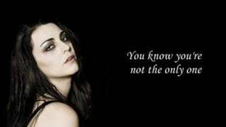 The Only One- Evanescence- The Open Door