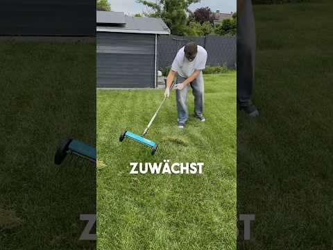 3 Tips for a Full Lawn 🪴✅