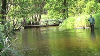 preview picture of video 'Секретные водоёмы Беларуси. Best fishing venues of Belarus.'