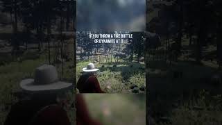 Did You Know The Indian Burial Ground? | #rdr2 #shorts