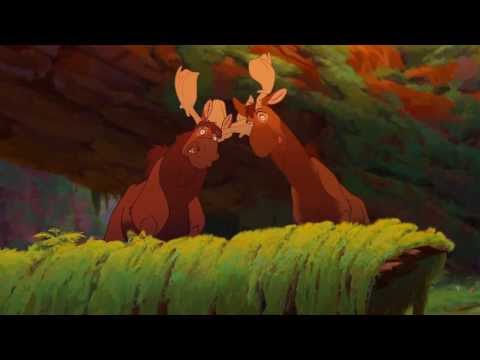 FAN-DUB TIERRA DE OSOS (RUTT Y TUKE)