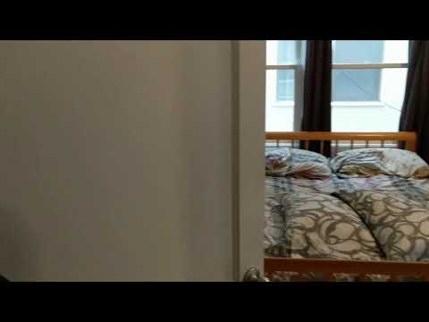 The little rascals 8/12/2017