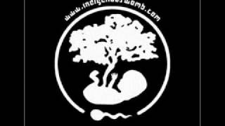 Indigenous Womb - Flamable