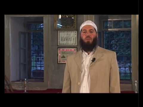 Thesari Islamik - Martesa - Ali Shabani