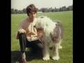 The Beatles - Martha my dear