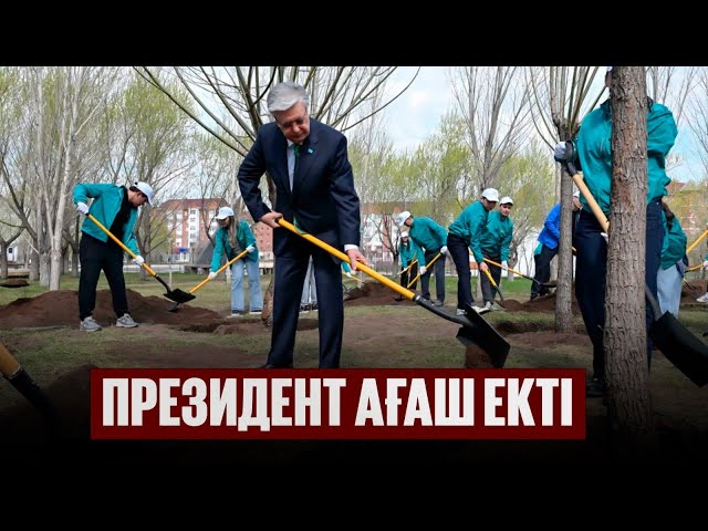 Мемлекет басшысы «Жастар» саябағында ағаш екті