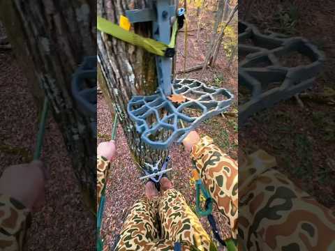 How to climb a tree saddle hunting #shorts #saddlehunting #pov #bowhunter