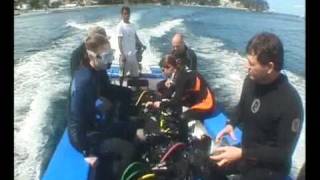 preview picture of video 'Scuba Dive at Dungon wall - puerto galera philippines'