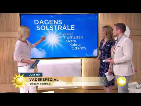 Väderspecial – Dagens solstråle och dagens regnskur - Nyhetsmorgon (TV4)