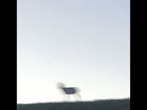 AL-90 — Watersport567