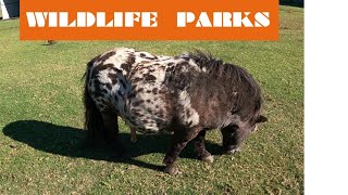 Oakvale Wildlife Park #103 | wild animals, animal videos, reptiles, animals, birds, animal sounds
