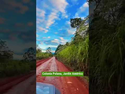 Camino a Colonia Polana. Jardín América. Misiones. #nature #inversionesinmobiliarias