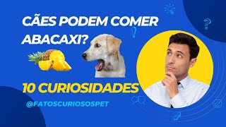 ?Cães Podem Comer Abacaxi? 10 Curiosidades, Benefícios Para a Saúde e Dicas!