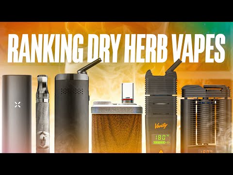 Best Dry Herb Vape of 2025