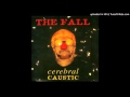 The Fall - Pearl City