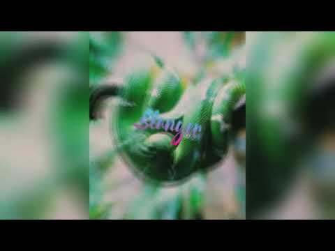 $uziCazz - Slanger (Audio)