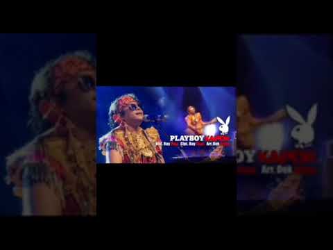 Rai peni -playboy kapok