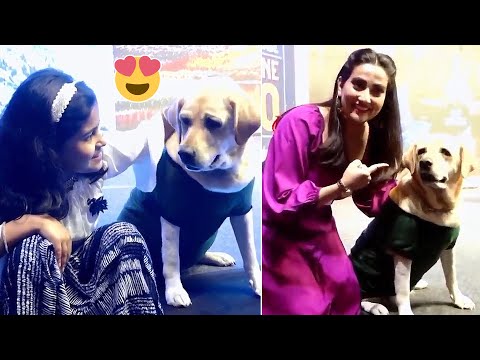 Dog Charlie CUTEST Visuals At 777 Charlie Press Meet | Anchor Manjusha | Rakshit Shetty | News Buzz