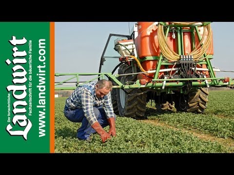 Frühjahrstermine bei Raps