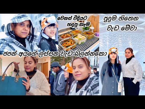 කාලෙකින් ගියෙ මේ ලස්සන බලන්න 😘| Japan Vlog 😘