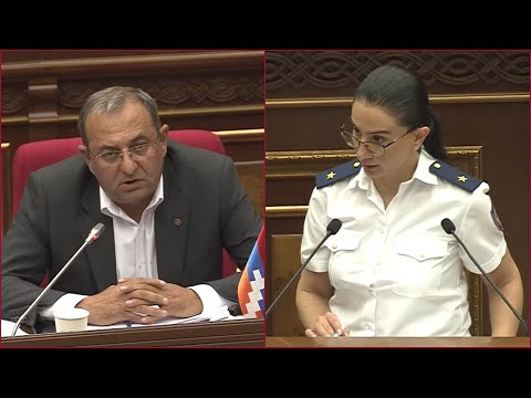 Արծվիկ Մինասյանն իր գործի վերաբերյալ հարցեր ուղղեց Աննա Վարդապետյանին