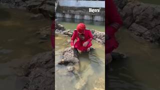 Download lagu Revealed! The Malin Kundang Stone Was Actually Man-Made 😱 mp3