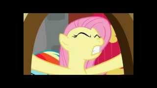 How to be a (ponyshipping)  Brony