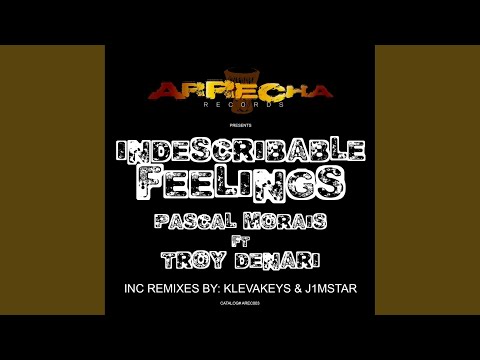 Indescribable Feelings (J1Mstar Remix)