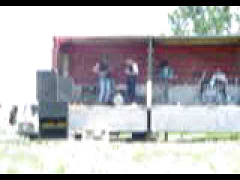 DRUHÁ FALESH - Iq 50