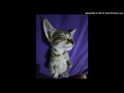 [free] drain gang + bladee + dark ambient type beat - "lök" [prod. oliver_01]