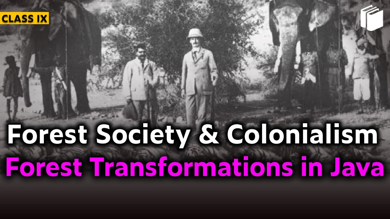 Forest Transformation in Java | Forest Society & Colonialism |Chapter 4 - History | Class 9 |PuStack