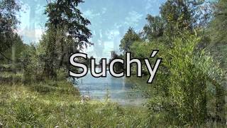 Kejík Alois - Suchý Kejík Alois - Suchý