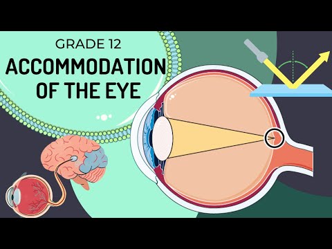 INTRO to Accommodation of the EYE (UPDATED) | How the eye changes the shape of the lens