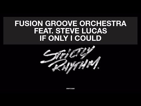 Fusion Groove Orchestra Feat. Steve Lucas - If Only I Could (Liem Remix) [Official Audio]