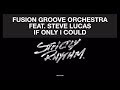 Fusion Groove Orchestra Feat. Steve Lucas - If Only I Could (Liem Remix) [Official Audio]