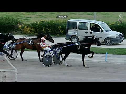 Aversa trotto 27 Gennaio 2021 - 6° Corsa