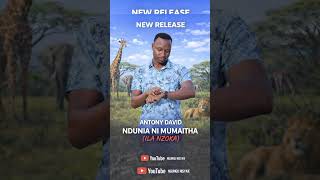 Download lagu NDUNIA NI MUMAITHA (ila nzoka) mp3