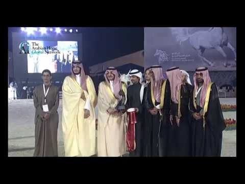 SHAMEKH ALDANAT at Gulf Straight Egyptian Arabian Cup 2019