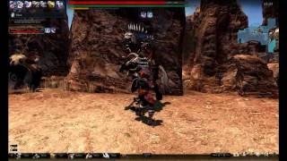 Vindictus Gameplay - Dim Gray Boss
