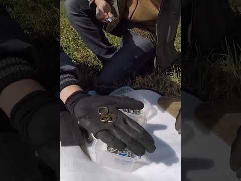 Does gold stick to a magnet? Magnetic fishing