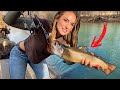 Fishing The River For Trout RAINBOW BROOK Catch Clean Cook