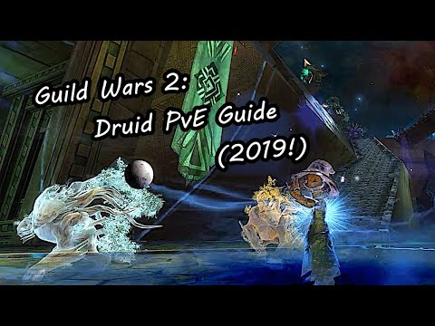 Guild Wars 2: Druid PvE Guide