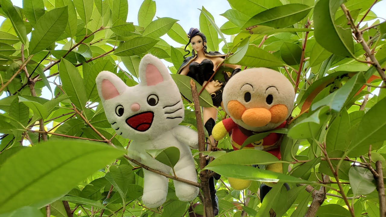 ノンタン　アニメ　アンパンマン　怖い話　怪談　夏祭り