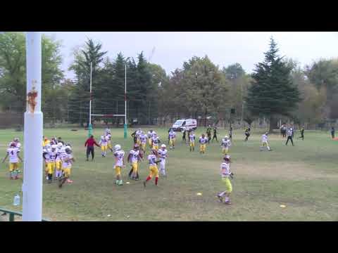 SAAF juniorska liga / Black Hornets Jagodina @ SBB Vukovi Beograd / 1. poluvreme