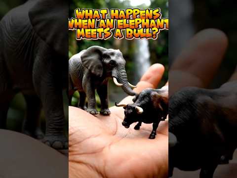 Elephant vs Spanish Bull on Human Hand  Realistic 3D Jungle Scene.#shorts #3danimation #bull