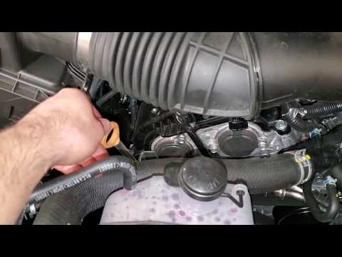 2016, 2017, 2018, 2019, 2020 & 2021 Toyota Tacoma 3.5L V6 Engine - How To Check Dipstick Oil Level