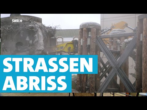 Wie der Abriss der Hochstraße in Ludwigshafen die Wirtschaft belastet