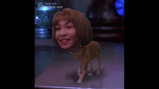 Mars Attacks! 🛸🐕🐶