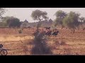 Sukuwa Babban Birnin Ibiga Daniya